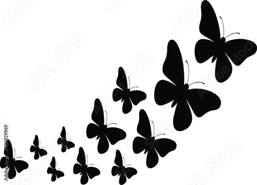Silhouettes of black butterflies flying in a group vector illustration EPS PNG file