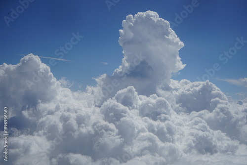 cumulus congestus