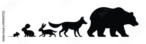 Black Silhouette Animal Vector Illustration of Evolution Line