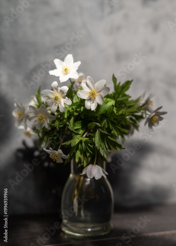 Bild auf Leinwand Bouquet of white wildflowers in a glass vase with soft natural light and shadows, creating a moody still life composition