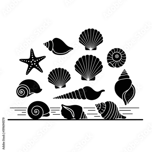 Seashells and Starfish Silhouettes Collection on White Background