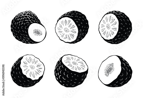 Black and White of Whole and Halved Bergamots