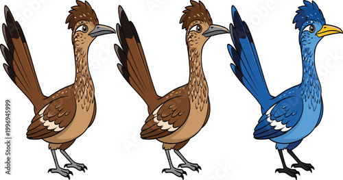 Cartoon Roadrunner Bird Character in Three Color Variants – Brown and Blue Comic Bird Mascot Vector Illustration