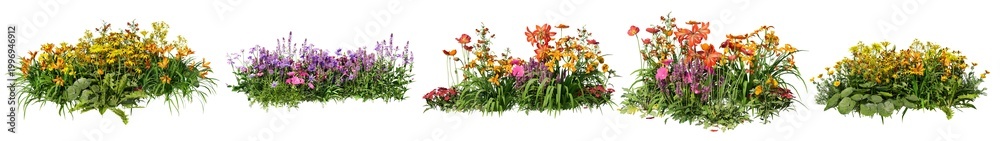 Obraz premium Shrubs and flower on a transparent background