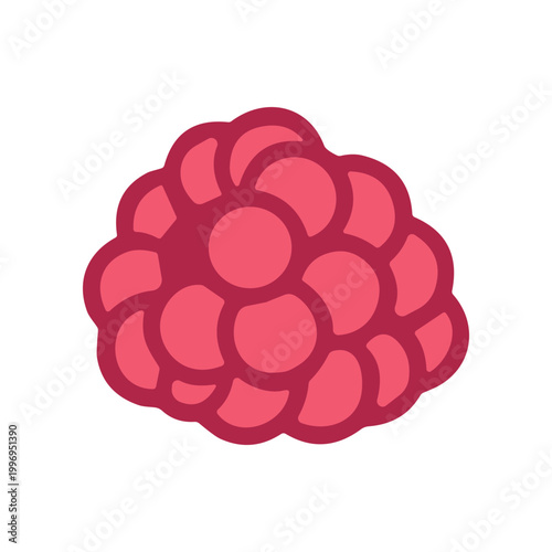 Raspberry Fruit Closeup Illustration.
