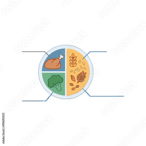 Food groups nutrition healthy eating.
