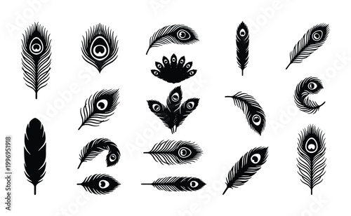 Foto Elegant Black Peacock Feather Vector Icons Set, Delicate Ornithological Elements