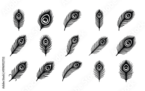 Foto Elegant Peacock Feather Vector Collection, Delicate Ornithological Elements, Bla