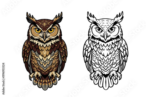 Set of owl illustrations featuring full color and line art versions with intricate feather details, perfect for branding, educational materials, wildlife graphics and creative design projects
