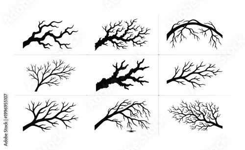 Cuadro en lienzo Vector Tree Branches Collection, Silhouette Nature Elements, Black Organic Twigs