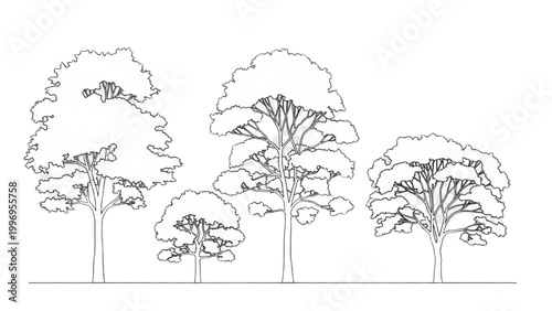 2D AutoCAD drawing of trees in a landscape with foliage and trunks