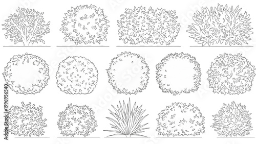 Various 2D AutoCAD designs of cacti and succulents in different shapes.