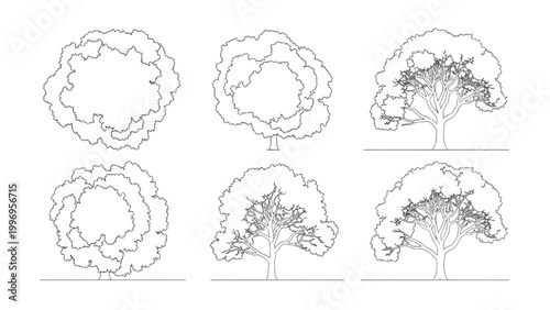 Various 2D AutoCAD tree designs in different stages and styles are shown