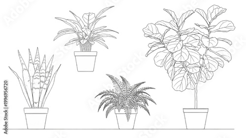 2D AutoCAD drawing of various plants in pots on a shelf indoors