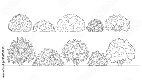 2D AutoCAD illustration of various trees in two rows on a plain background