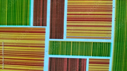 colorful bamboo mat