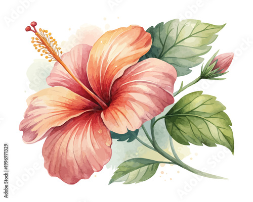 Watercolor Hibiscus Flower Icon, Tropical Floral Clipart, vector illustration Isolated on White background