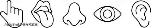 five sense nose ear eye touch smell line icon set vector 