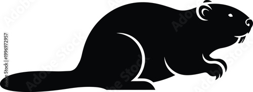 Black silhouette of a beaver isolated on transparent background wildlife illustration for design projects