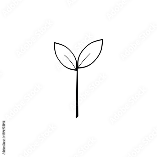 Manually drawn vector illustration of a young plant sprout with two leaves. Handcrafted linear symbol representing organic growth spring nature and ecology concept. Isolated on white