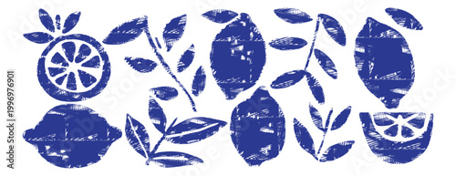 Photos Mediterranean lemon botanical set with leaves and slices in blue monochrome linocut style