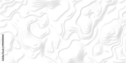 Abstract white paper cut background with lines. Background of the topographic map. White wave paper curved reliefs abstract background. Realistic papercut decoration textured with wavy layers.