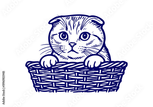 Scottish Fold Cat hand drawn simple sketch vector illustration