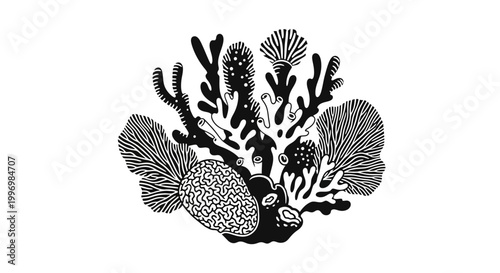 Black and white coral reef fish.