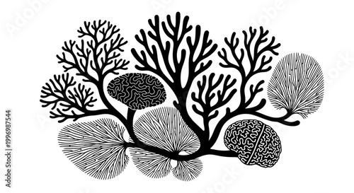 Detailed illustration of seaweed fronds.