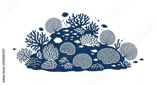 Coral Reef Marine Life Illustration.