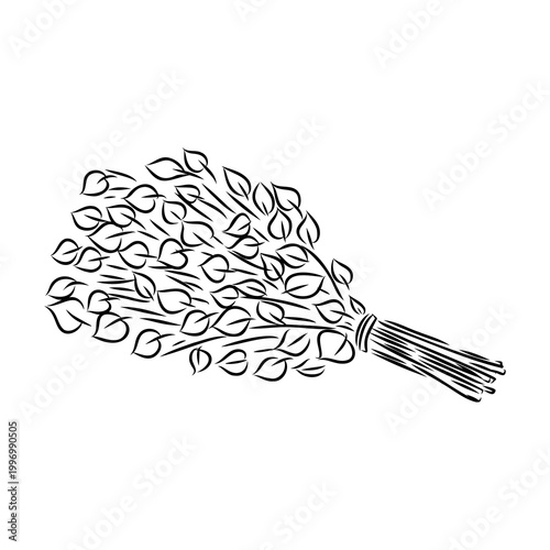 Sauna whisk for steaming — vector sketch