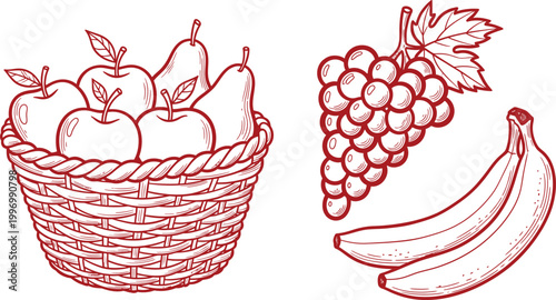 Vintage fruit basket illustration a hand drawn sketch of apples pears grapes and bananas in a woven basket