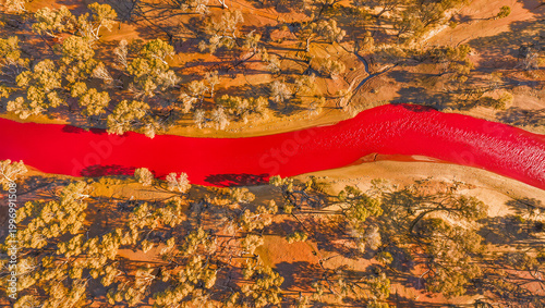 The red river is in the center of dry forest in summer season , very hot color tone , epic landscape.