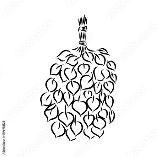 Sauna whisk for steaming — vector sketch