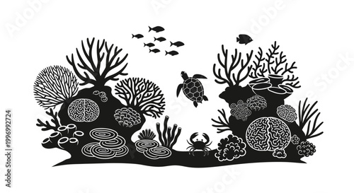 Black and white coral reef scene.