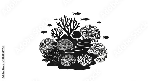 Black and white coral reef scene.