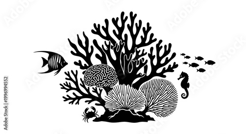 Black and white coral reef scene.