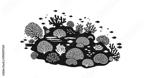 Coral Reef Marine Life Illustration.