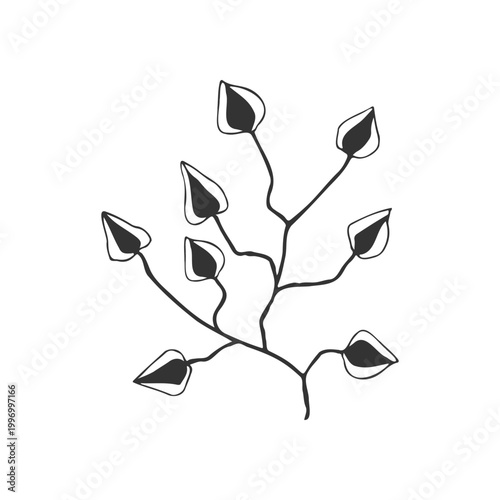 Stylized Physalis Branch with Chinese Lantern Flowers, Hand-Drawn Minimalist Botanical Sketch for Autumn Decor, Halloween Invitations and Organic Wellness Branding