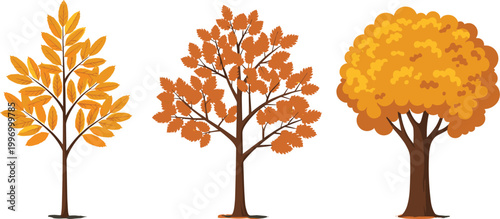 Autumn Tree Vector Set with Fall Season Foliage Orange Leaves and Nature Landscape Elements for Forest Illustration and Seasonal Design