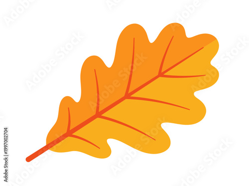 maple leaf isolated 