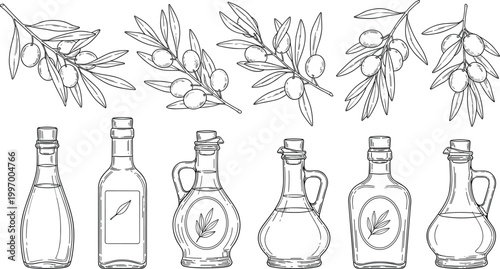 Hand-Drawn Olive Oil Bottles with Olive Branches for Natural and Organic Food Illustration Design Elements"