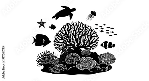 Coral Reef Marine Life Ecosystem.