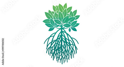 Green plant with leafy top roots.