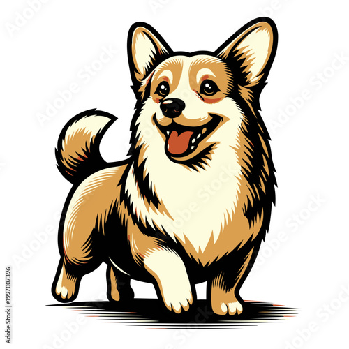 Corgi dog vector and illustration.