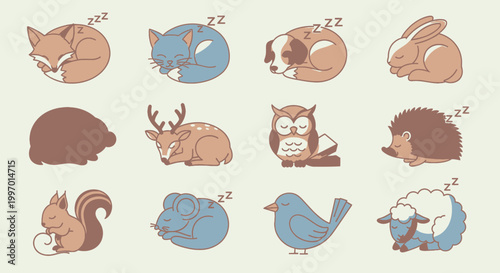 Sleeping animals in various positions.