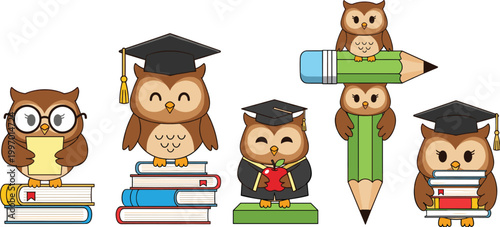 Cute Owl Graduation Vector Set with Books Pencil Stack and Academic Characters for School Education Learning and Classroom Illustration Design