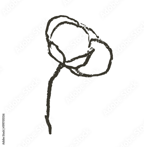 Cotton flower on branch doodle charcoal isolated drawing. Natural organic blossom fluffy fiber on stem. Botanical hand drawn wedding rustic herb. Ripe cotton boll fiber in grunge sketch style.