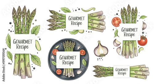 Fresh asparagus and ingredients for a gourmet recipe, illustrated in a charming style
