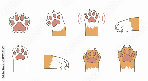 Eight Different Dog Paw Illustrations.